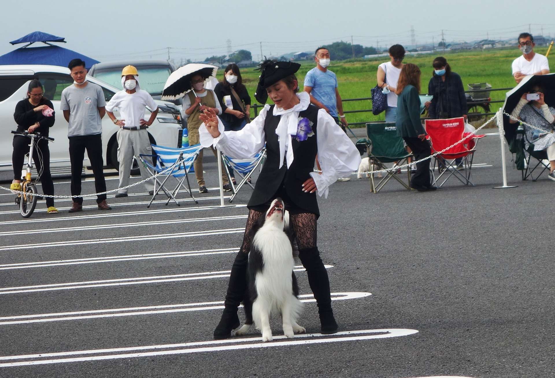 【ドッグダンス】