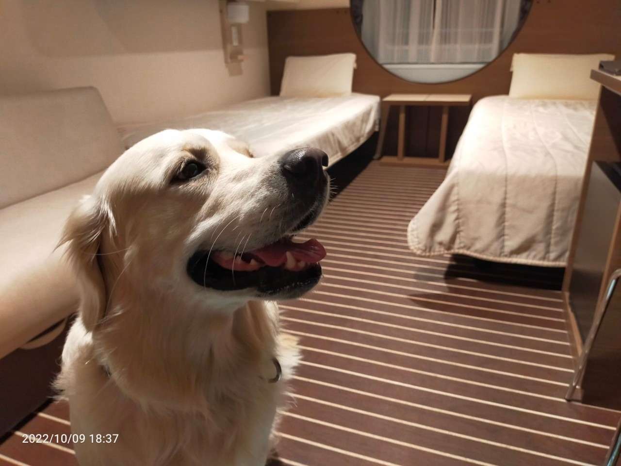 【あお君】北海道をめぐるⅠ