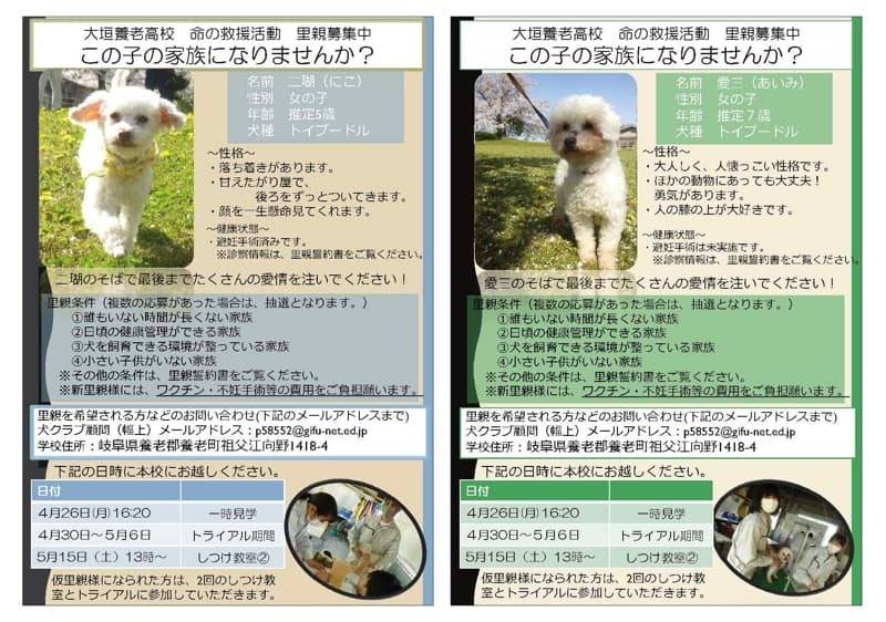 【犬クラブ】設立４年