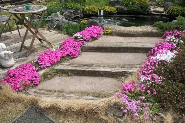 【庭日記】開花情報