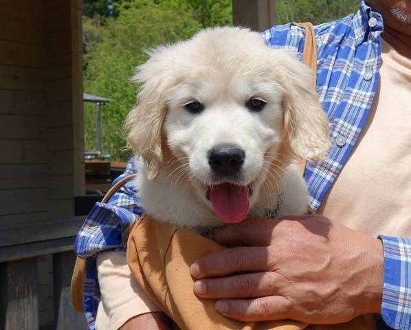 【凜ちゃん】子育て日記