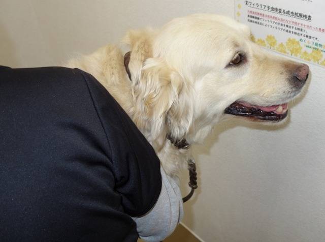 【レントゲン検査】微妙