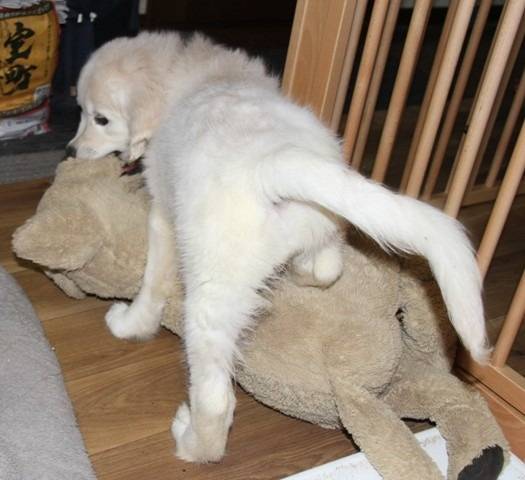 【子育て日記】凛