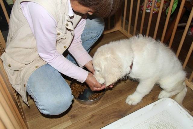 (【凛：子育て日記】ママの手は魔法の手