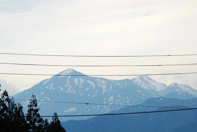 【新潟弾丸ツアー】春のコンテスト