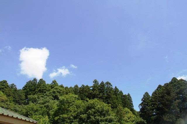 【凜：子育て日記】 訓練