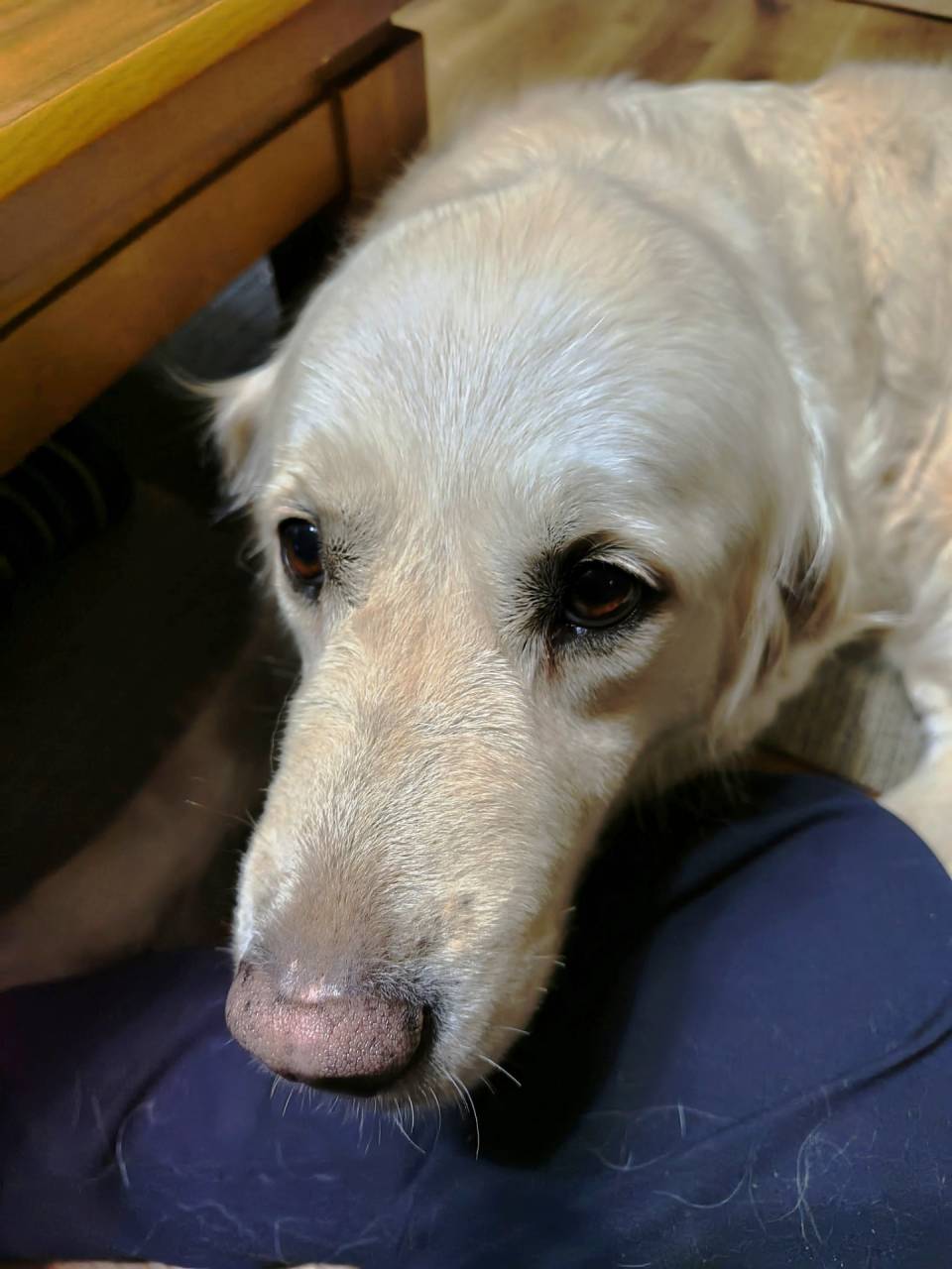 【マグゴル】セイラとの時間も残りわずか