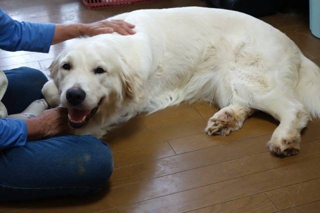 【フード】「あっ」という間！！！