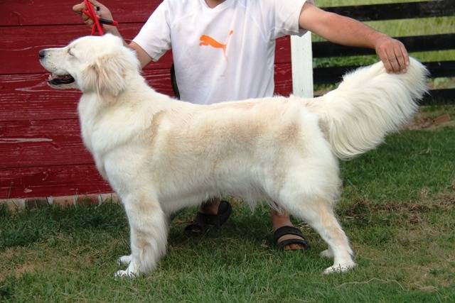 【セイラに続いて】モカも