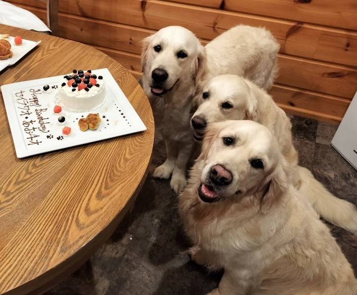 【セイラ＆あおむぎ】woof