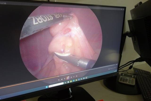 【モカ】無事退院