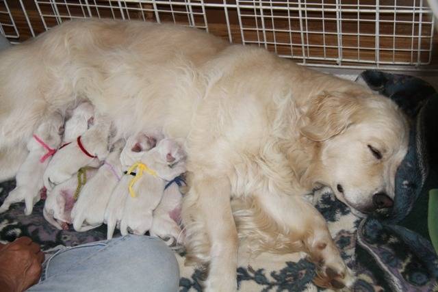 【遅ればせながら】PartⅠ