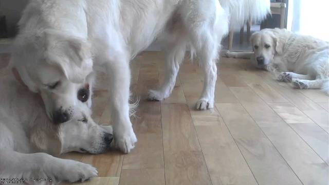 【遅ればせながら】PartⅣ