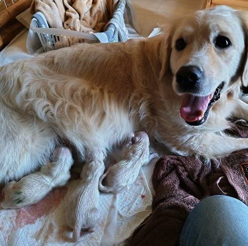 【2023年8月19日】16時37分