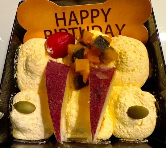 【マグゴル４期生】ラムちゃん