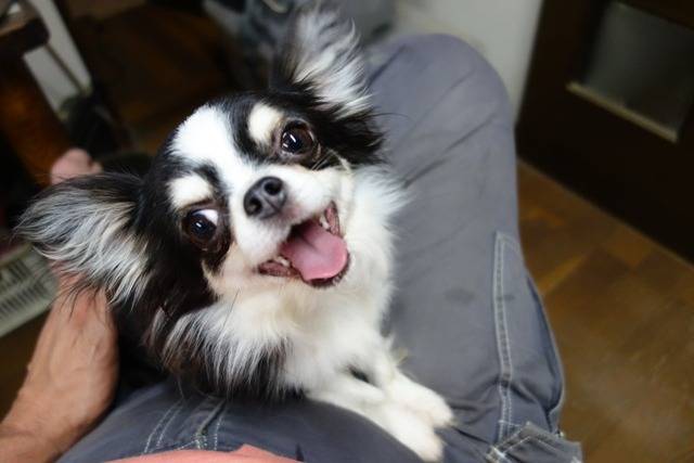 【おはようございます】ダル重～