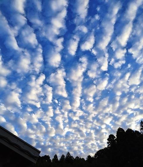 【天高く】馬肥ゆる秋