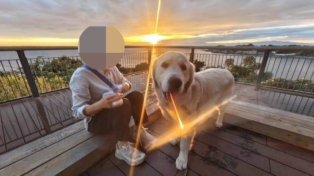 【のんき君と夕焼け】ブラボー！！！　Ⅱ