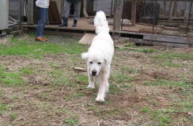 【富岳君】ラルフパパと対面
