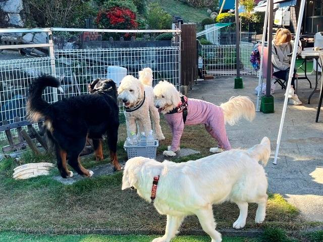 【おはようございます】