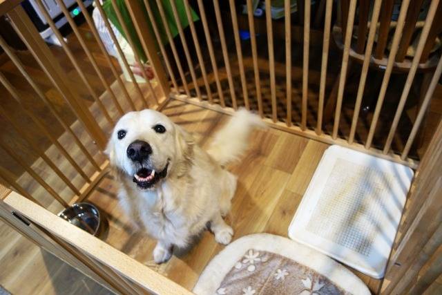 【マグゴル】お引越し