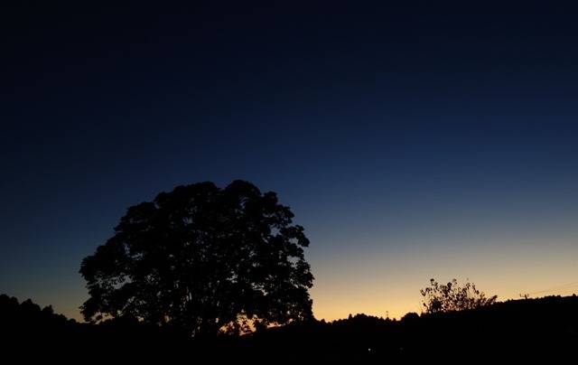 【おはようございます】