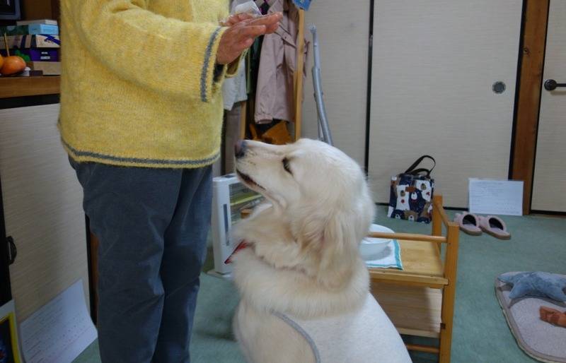 【モカ】無事到着