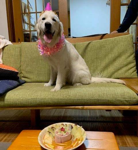 【マグゴル6期生】くるみちゃん