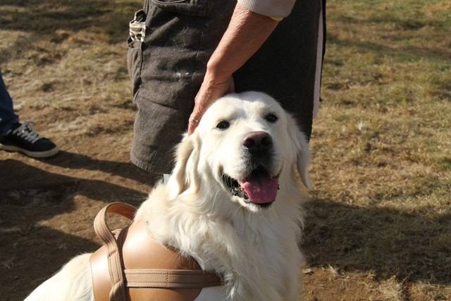 【マグゴル3期生】龍ヶ崎の空君