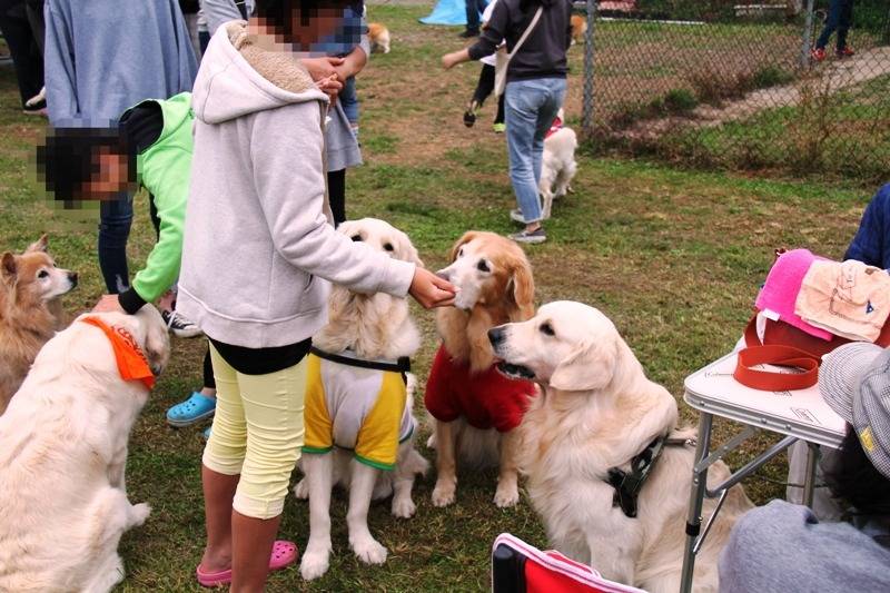 【スィートコテージ】オフ会