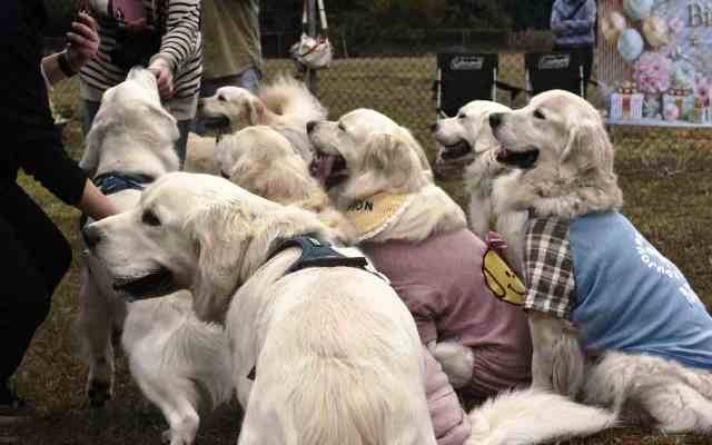 【おはようございます】