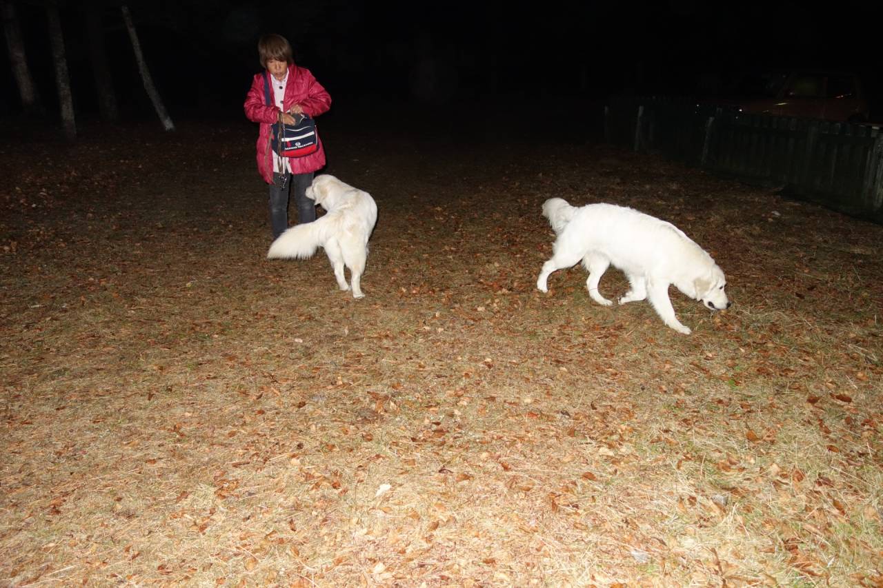 【おはようございます】