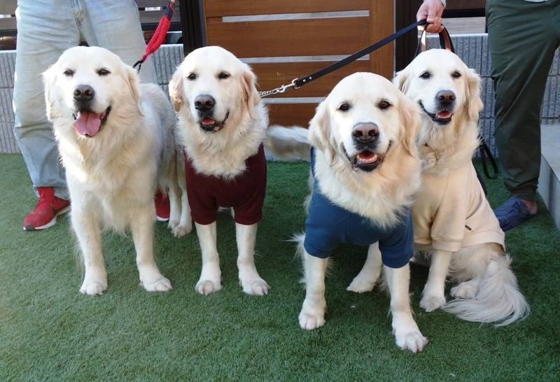 【AoMugi＆Seira家】訪問