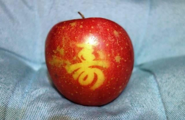 【ゲンかつぎ】”寿”