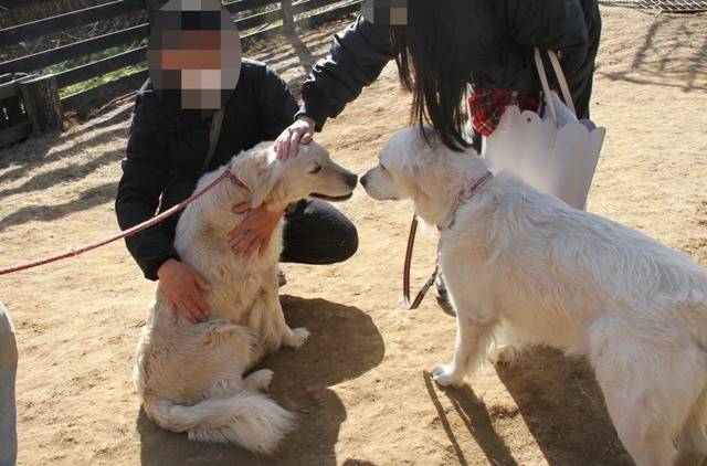 【マグゴル4期生】アリエルちゃん