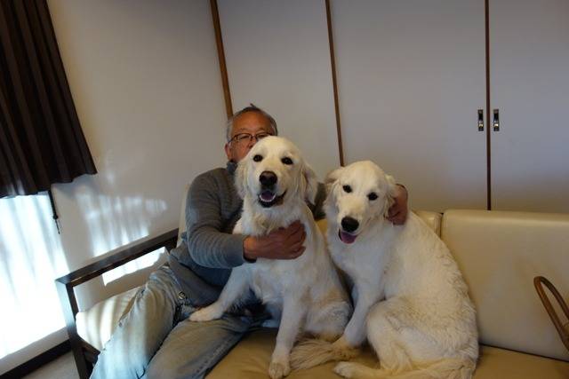 【マグゴルシェリー】営業担当