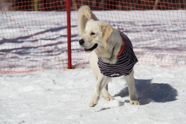 【スキーシーズン】いよいよ