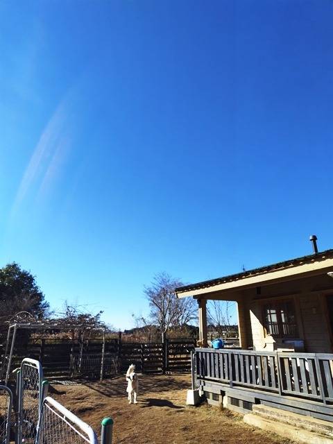 【おはようございます】快晴