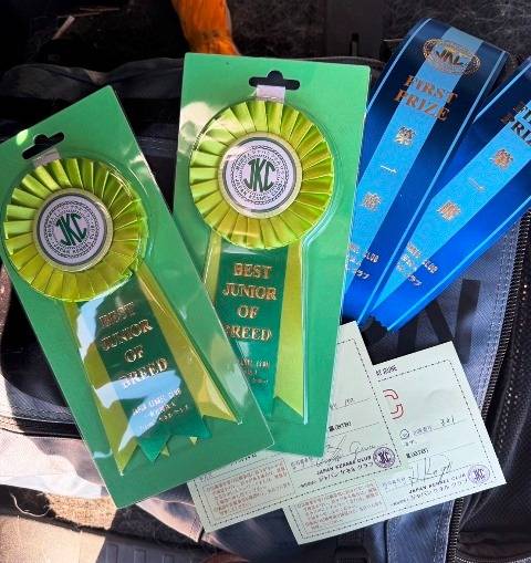 【マグゴル6期生】桜ちゃん　おめでとう！！！