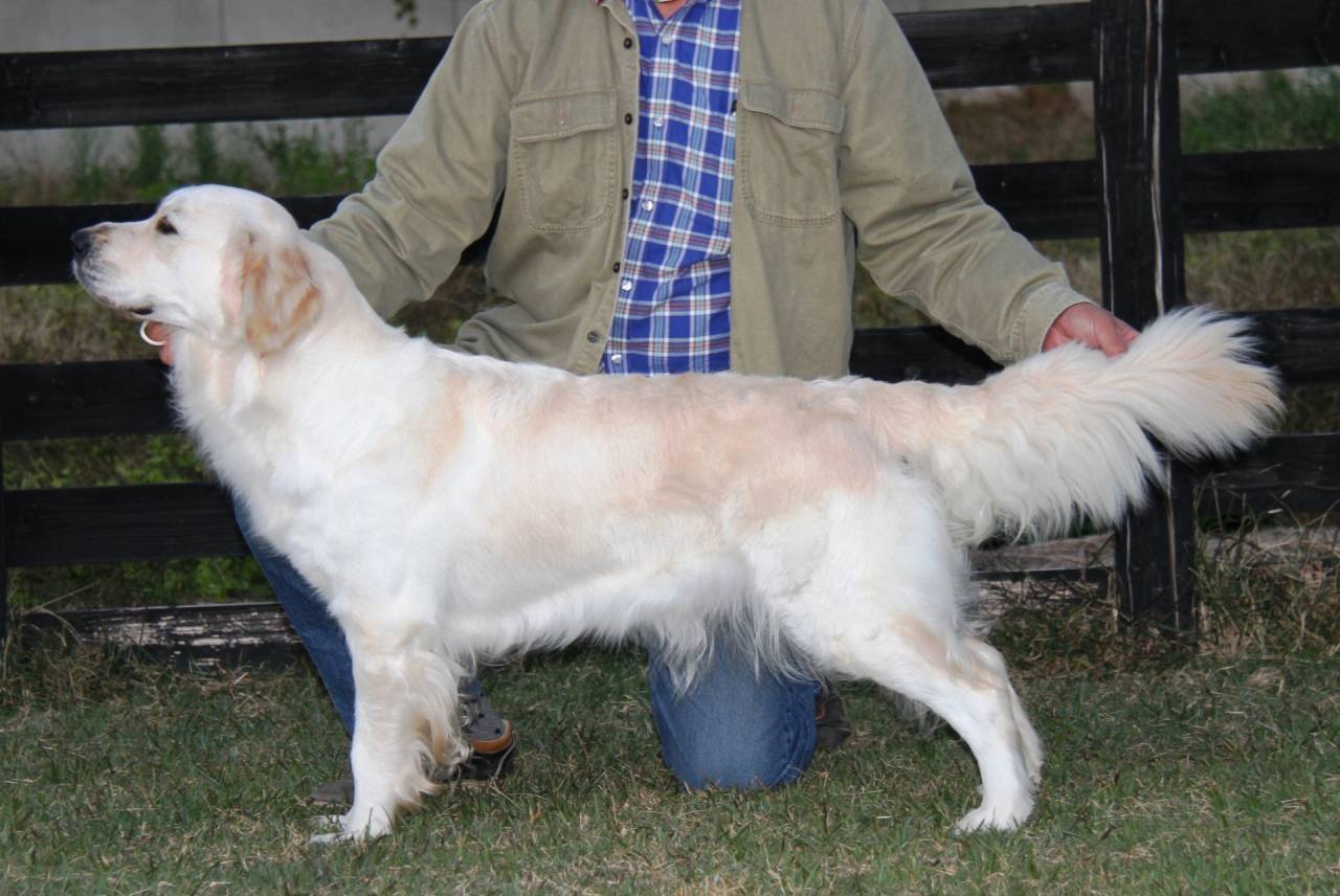 【エマ】ヒート