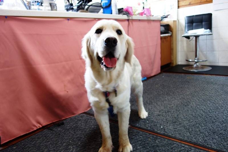 【初訪問】sherie’s　golden　Ⅱ