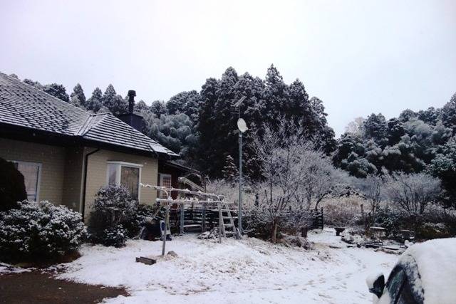 【まさかの】大雪！！！