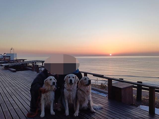 【あおむぎ＆セイラ】北海道旅行　Ⅳ