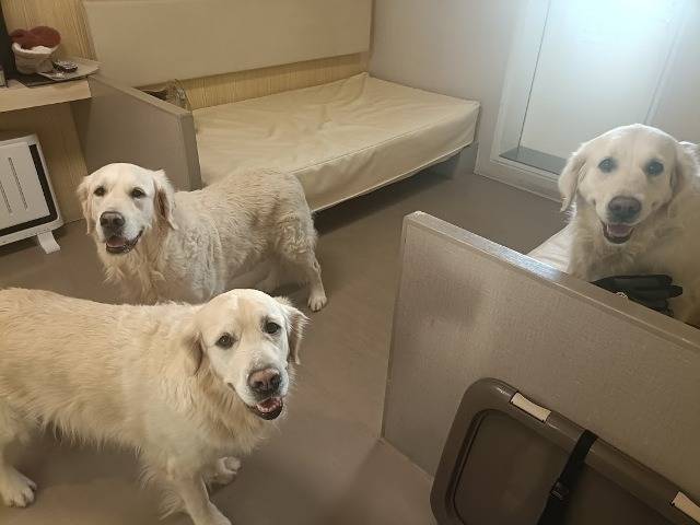 【あおむぎ＆セイラ】北海道旅行　Ⅴ