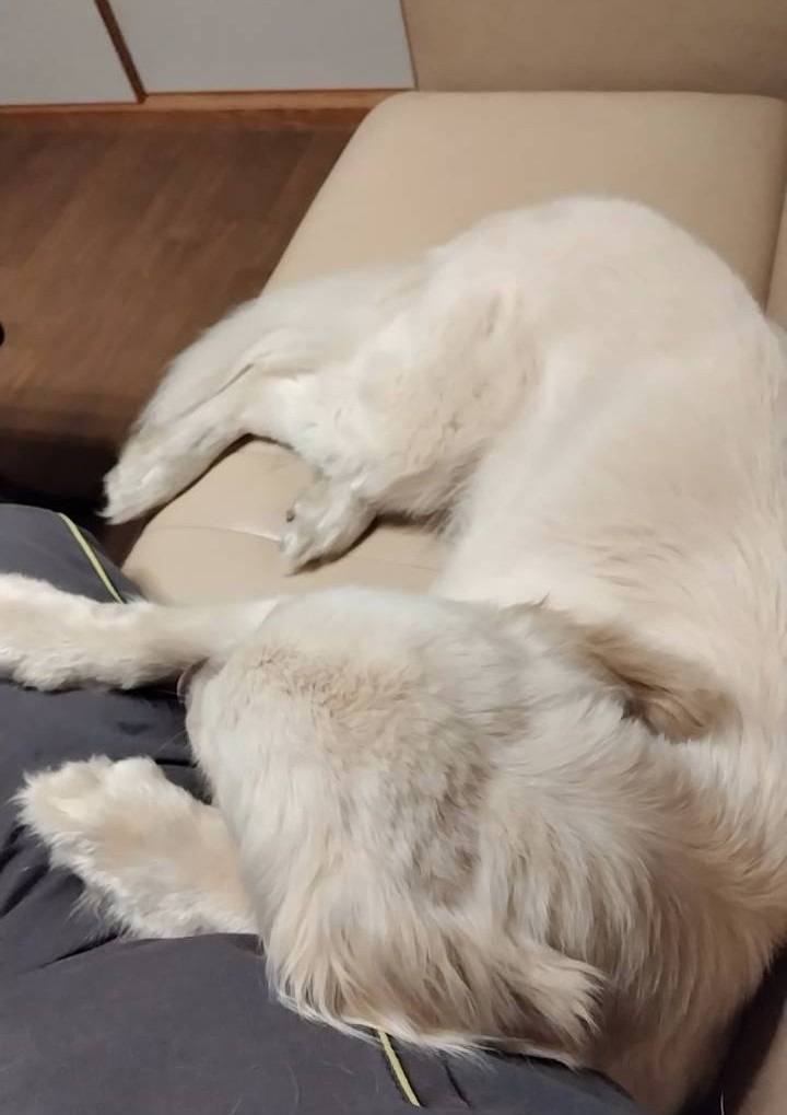 【おはようございます】