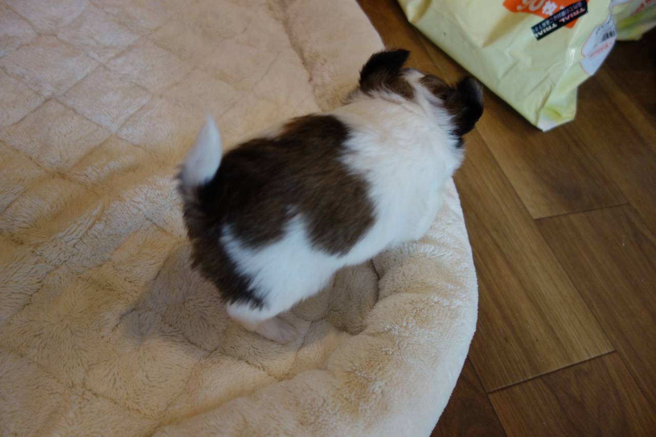 【今日のまゆベビー】