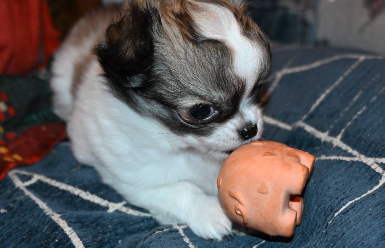 【おはようございます】