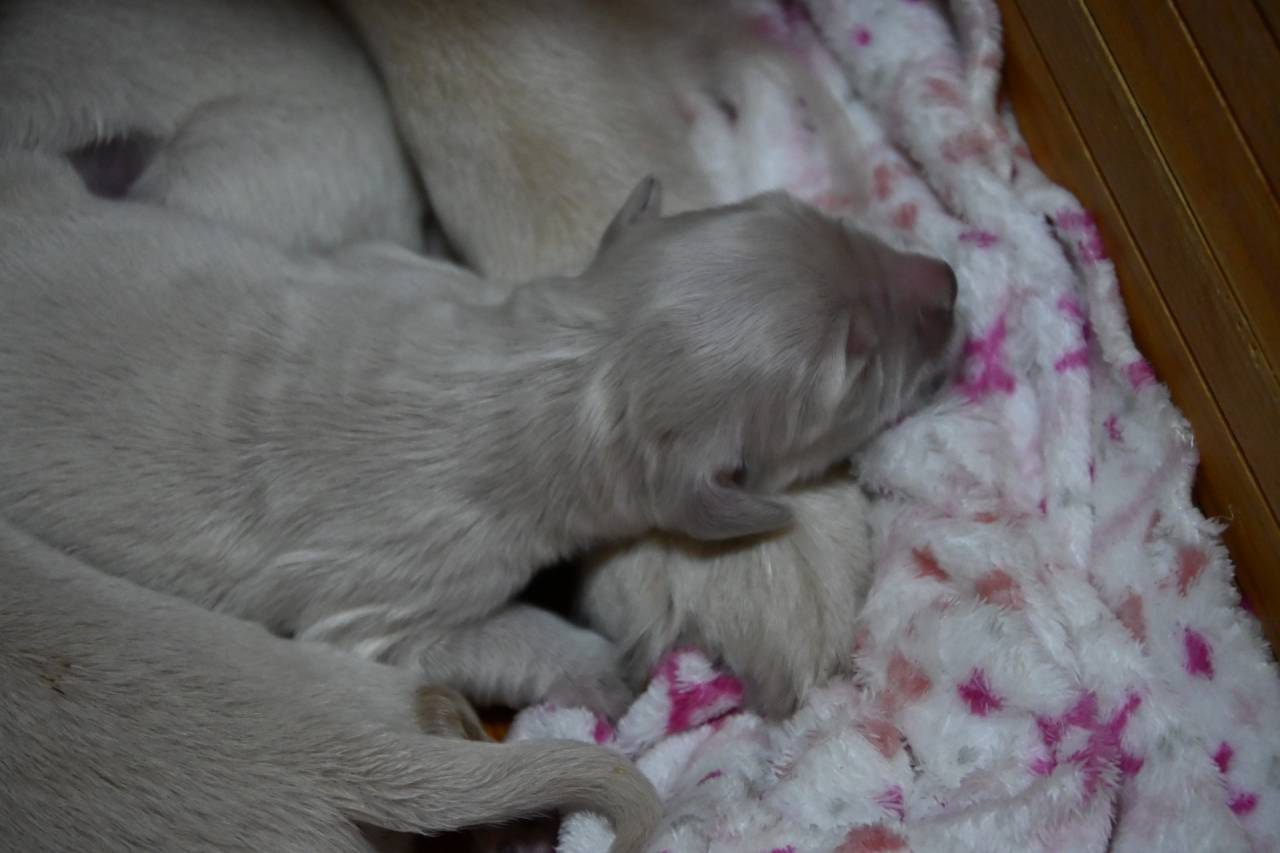 【今日のアリスベビー】不思議?