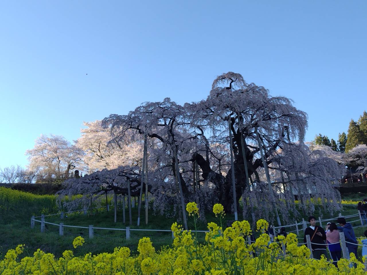 【お出かけ日記】福島編　Ⅰ