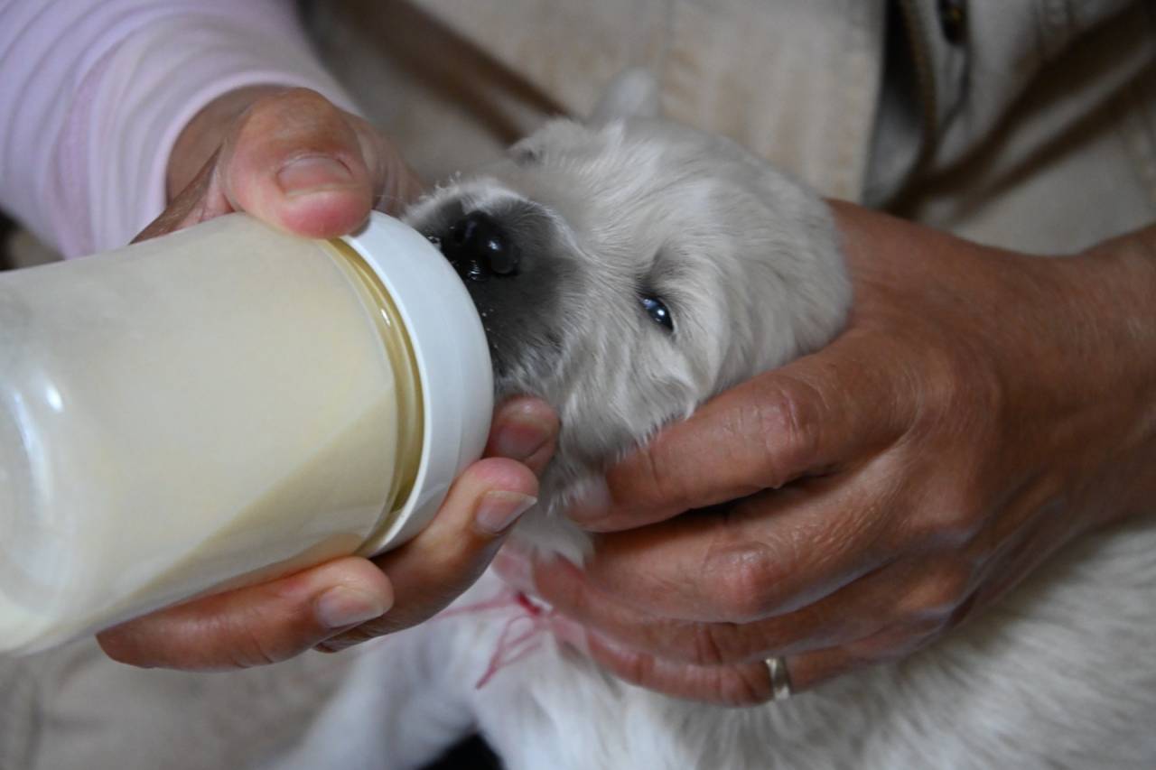 【おはようございます】
